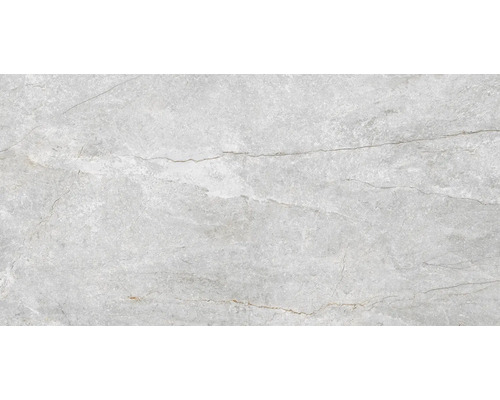 Carrelage sol et mur en grès-cérame fin Wells 60 x 120 x 1,05 cm pearl gris mat rectifiée