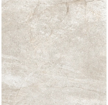 Wand- und Bodenfliese Wells sand poliert 60x60cm