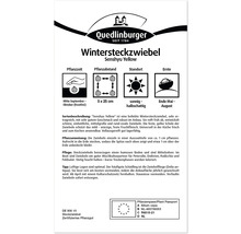 Oignon de printemps d''hiver Senshyu Yellow emballage contenant des informations sur la période de plantation, l''espacement, l''emplacement et la récolte