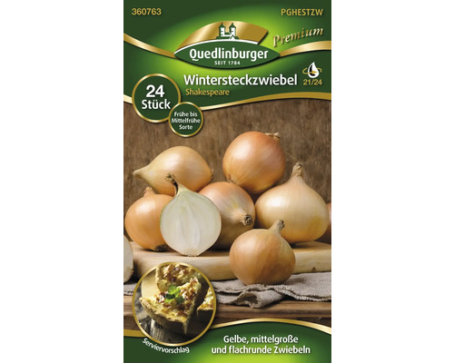 Oignons d''hiver variété Shakespeare, 24 pièces