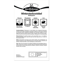 Paquet d''oignons d''hiver Shakespeare avec des informations sur la période de plantation, l''espacement, l''emplacement et la période de récolte