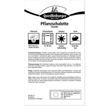 Emballage d''échalotes à planter Griselle avec des informations sur la période de plantation, l''espacement, l''emplacement et la récolte