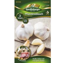 Ail à planter Messidrome, 3 pièces, variété précoce