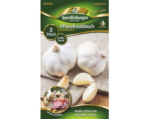 Ail à planter Messidrome, 3 pièces, variété précoce