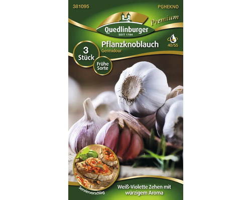 Ail à planter de type Germidour, 3 pièces