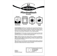 Emballage du produit ail à planter Germidour avec des informations sur la période de plantation, l''espacement, l''emplacement et la période de récolte