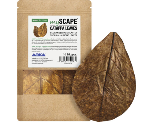 Feuilles de badame ARKA mySCAPE Catappa Nano 8 - 12 cm 10 pièces entretien naturel de l'eau, complément alimentaire, réduction de valeur du pH-Wert avec des acides humiques et fulviques précieux