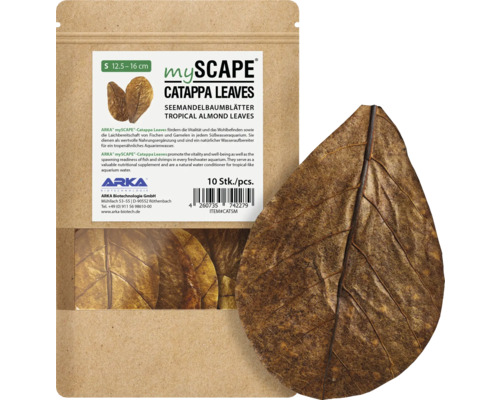 Feuilles de badame ARKA mySCAPE Catappa Small 12 - 16 cm 10 pièces entretien naturel de l'eau, complément alimentaire, réduction de valeur du pH-Wert avec des acides humiques et fulviques précieux