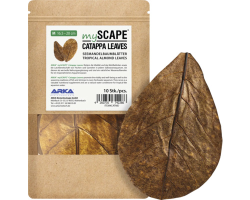 Feuilles de badame ARKA mySCAPE Catappa Medium 16 - 20 cm 10 pièces entretien naturel de l'eau, complément alimentaire, réduction de valeur du pH-Wert avec des acides humiques et fulviques précieux