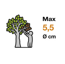 Symbolbild maximale Schnittstärke 5,5 Zentimeter