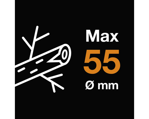 Maximale Holzdicke 55 Millimeter