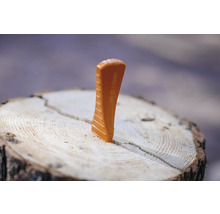 Holzspaltkeil im Baumstamm