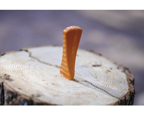 Holzspaltkeil im Baumstamm