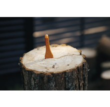 Holzspalter Keil auf Holzscheit