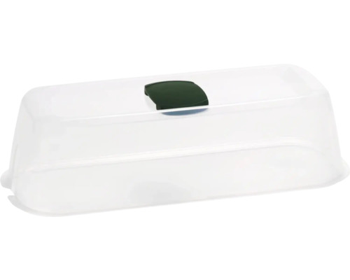 Mini-serre romberg BoQube capot de culture S Green Edition env. 28 x 8 x 12 cm Beurrier en plastique avec couvercle