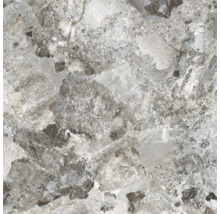 Gros plan d''un carreau de grès cérame gris aspect marbre