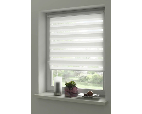 Fenster mit Doppelrollo für Sicht- und Sonnenschutz