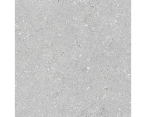 Dalle de terrasse en grès cérame fin Shellstone grigio bord rectifié 60 cm x 60 cm x 2 cm Gros plan d'un carreau en pierre naturelle grise