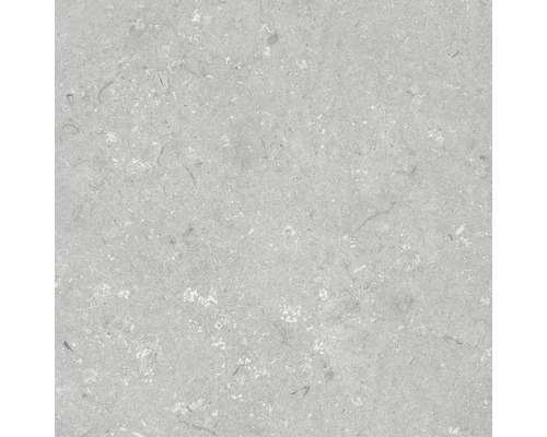 Dalle de terrasse en grès cérame fin Shellstone grigio bord rectifié 60 cm x 60 cm x 2 cm