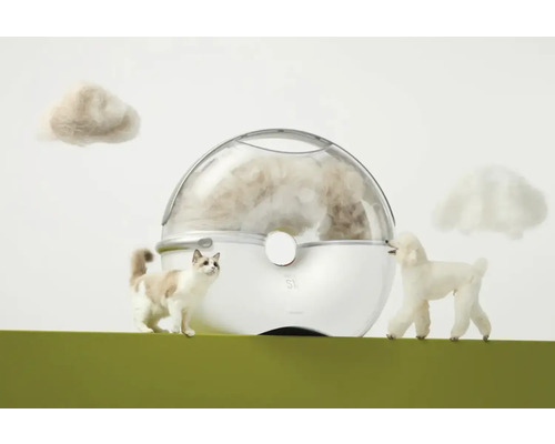 Séchoir à cheveux pour animaux de compagnie avec chat et chien