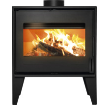 Poêle à bois avec bois brûlant