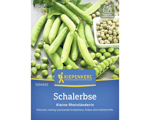 Petits pois Kleine Rheinländerin Kiepenkerl semences stables graines de légumes Petit pois, variété Petit Rhénan, sachet de graines de Kiepenkerl