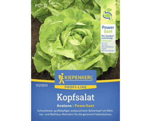 Laitue pommée Analena Kiepenkerl graines de légumes, PowerSaat, semences stables Kiepenkerl Laitue pommée Analena Power-Saat, paquet