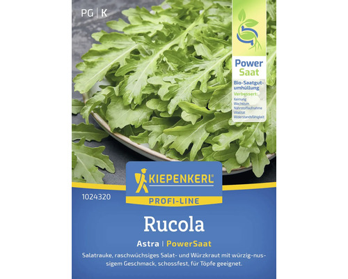 Roquette Astra Kiepenkerl graines de légumes, PowerSaat, semences stables