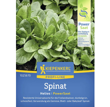 Kiepenkerl Profi-Line Spinat Helios PowerSaat Packung