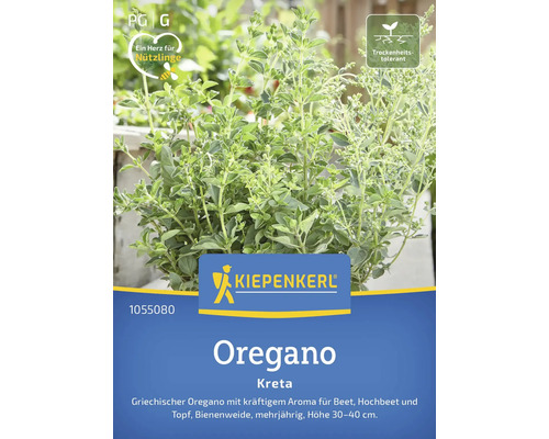 Origan Kreta Kiepenkerl graines de fines herbes semences stables Origan Kreta Kiepenkerl graines de fines herbes semences stables