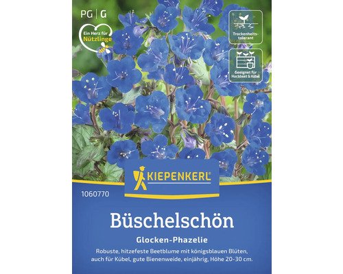 Phacélie campanulée amie des abeilles Kiepenkerl graines de fleurs Emballage Büschelschön Glocken-Phazelie avec le logo Kiepenkerl, convient aux plates-bandes surélevées et aux pots, plante tolérante à la sécheresse