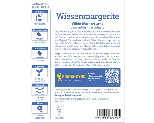 Informationen zu Wiesenmargeriten-Samen, inklusive Aussaatzeitpunkt, Keimung und Abstand