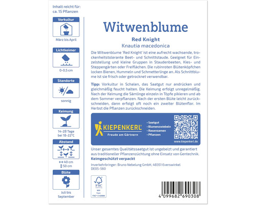 Witwenblume ''Red Knight'' Pflanzeninformationen