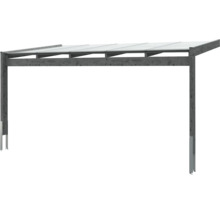 Holz Carport mit transparentem Dach