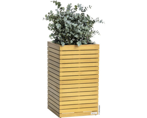 Pot de fleurs en bois avec eucalyptus