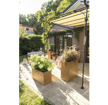 Terrasse avec plantes en bacs en bois, coin salon et store