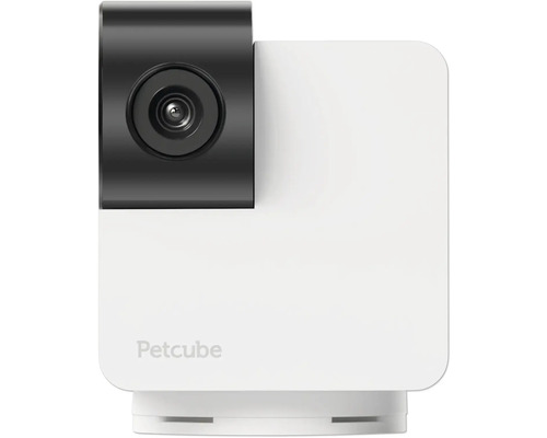 Petcube caméra pour animaux de compagnie, gros plan