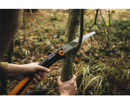 Eine Person sägt mit einer Handsäge einen Ast ab.