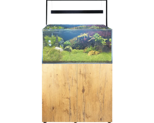 Aquarium avec meuble bas et plantations