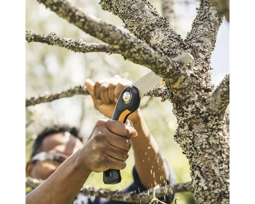 Eine Person sägt mit einer Handsäge einen Ast ab.
