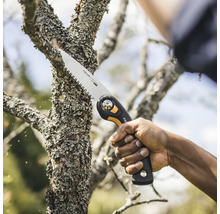 Scie à branches en cours d''utilisation pour couper une branche