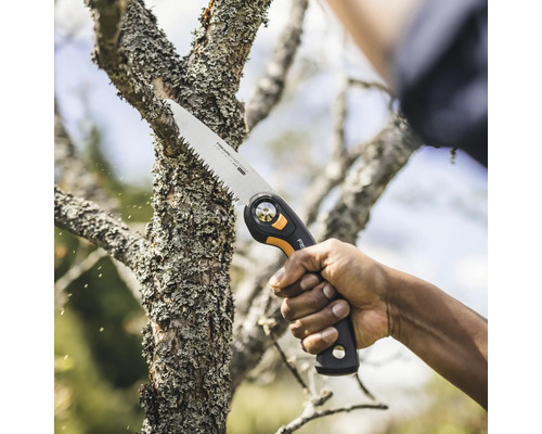 Scie à branches en cours d''utilisation pour couper une branche