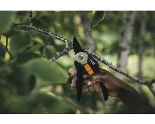 Une main coupe une branche avec un sécateur Fiskars.