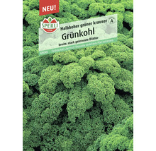 Samenpackung Grünkohl mit Sperli Logo