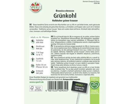 Samenpackung Grünkohl halbhoher grüner Krauser