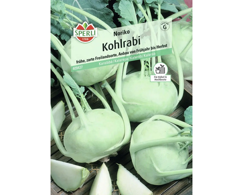 Kohlrabi Noriko Sperli Samenfestes Saatgut Gemüsesamen Sperli Noriko Kohlrabi Samenpackung