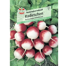 Samenpackung für rot-weiße Radieschen der Marke Sperli