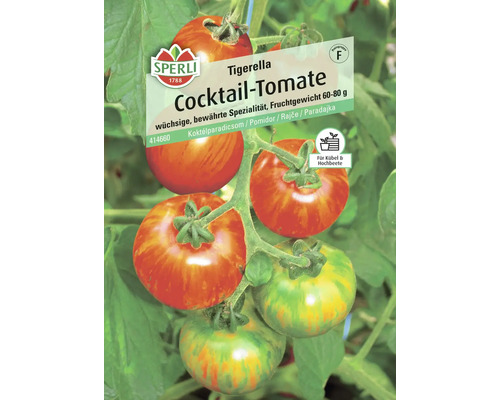 Tomates cocktail Tigerella Sperli graines de pousses semences non hybrides