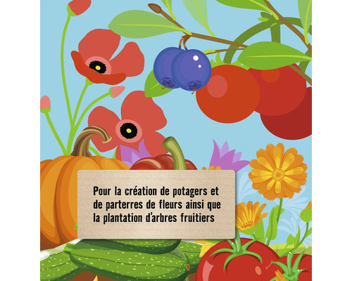 Illustration de légumes et de fleurs pour la création de potagers et de parterres de fleurs ainsi que pour la plantation d''arbres fruitiers