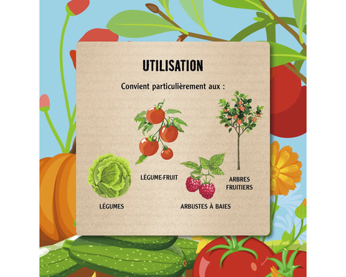 Illustration présentant différents types de légumes, notamment des légumes, des légumes-fruits, des arbustes à baies et des arbres fruitiers